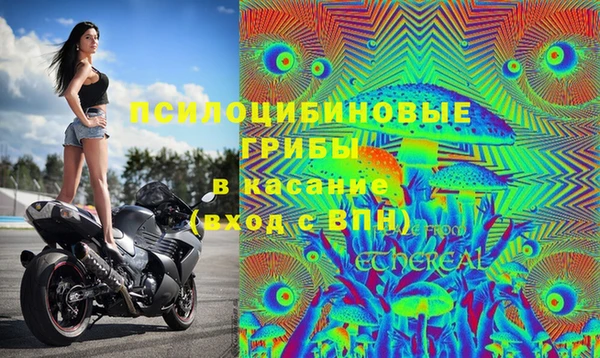 твердый Алзамай