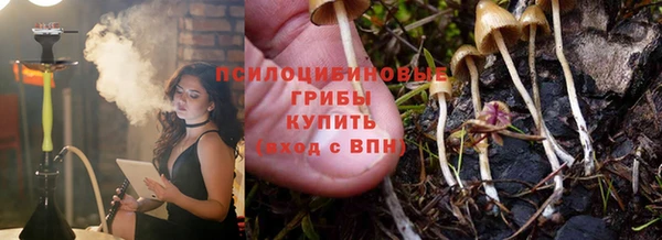 твердый Алзамай