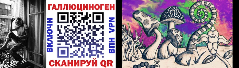 ссылка на мегу ссылки  Михайловск  Псилоцибиновые грибы Psilocybine cubensis 