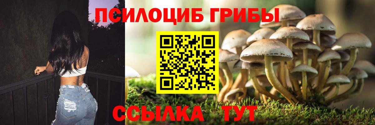 сколько стоит  Псилоцибиновые грибы MAGIC MUSHROOMS  Михайловск  Вход с VPN  Псилоцибиновые грибы Psilocybe 